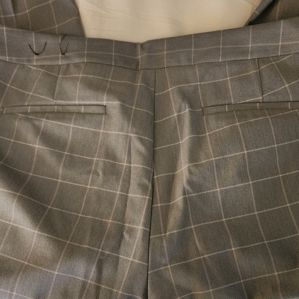 Express dress pants